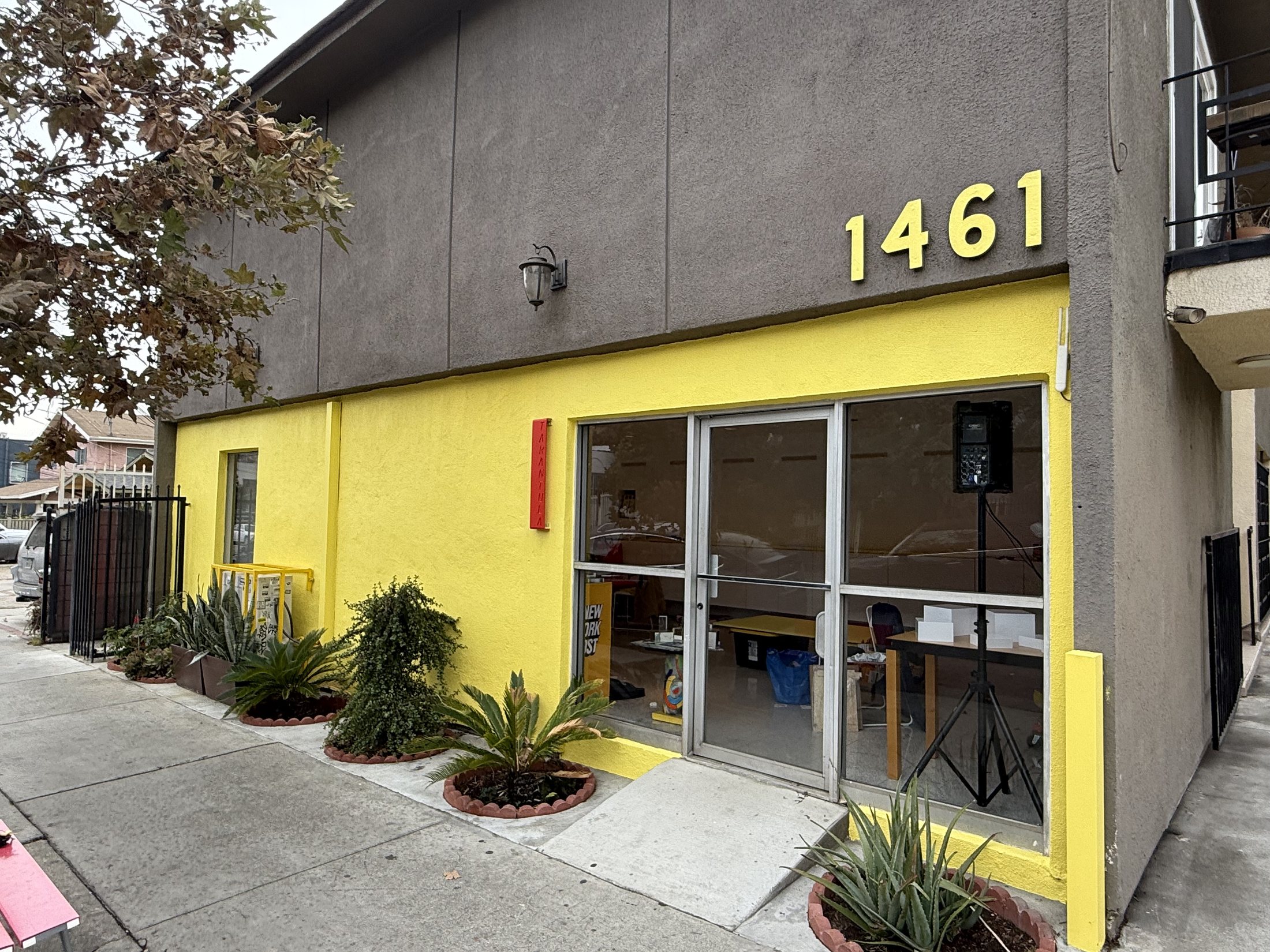 Tarantula Store, Echo Park